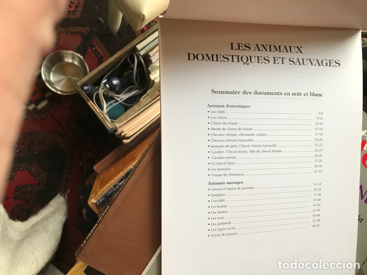 Libros: Motifs d&egrave;co. Les animaux. Pierre Bruandet - Foto 2