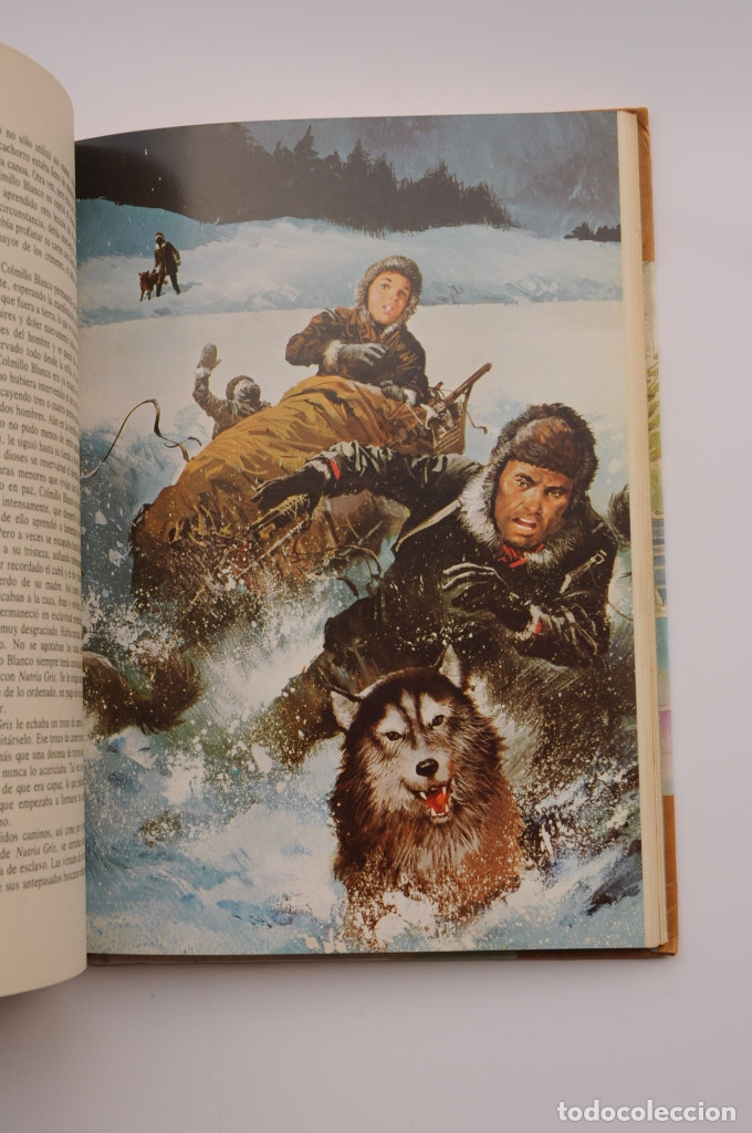 Libros: La llamada de la selva, Colmillo Blanco - LONDON, Jack - Foto 4