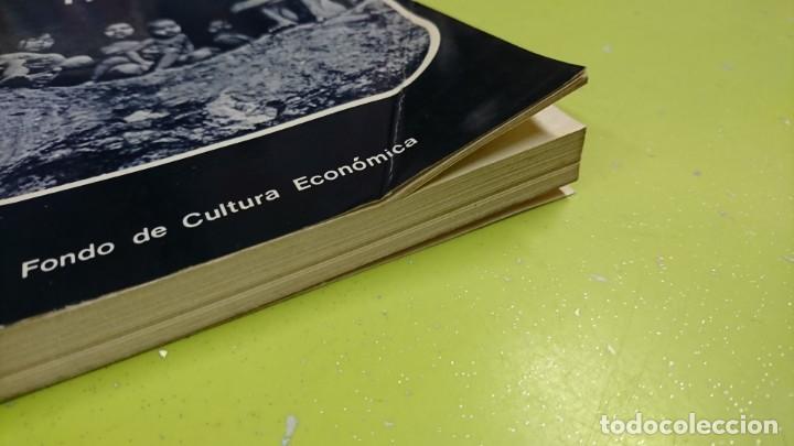 Libros: HISTORIA DE LA ETNOLOGIA, R. H. LOWIE - Foto 3