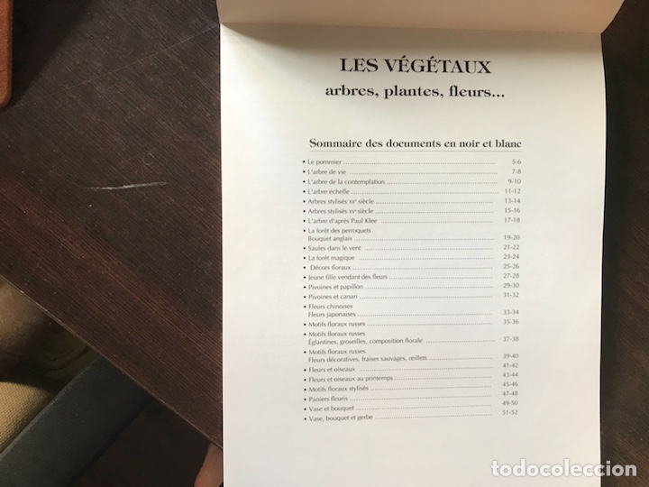 Libros: Motifs d&egrave;co. Les vegetaux. Pierre Bruandet - Foto 2