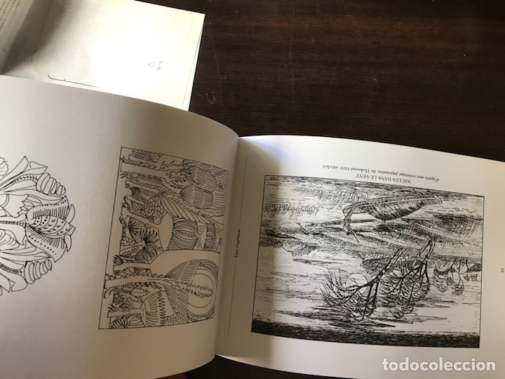 Libros: Motifs d&egrave;co. Les vegetaux. Pierre Bruandet - Foto 5