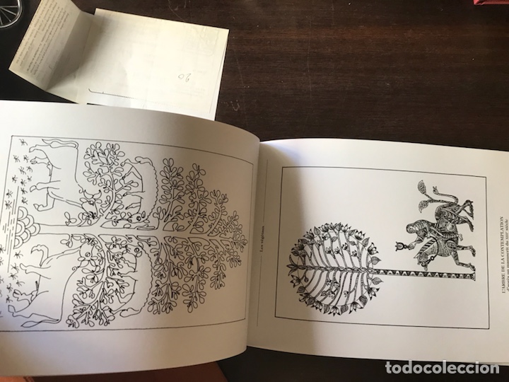 Libros: Motifs d&egrave;co. Les vegetaux. Pierre Bruandet - Foto 8