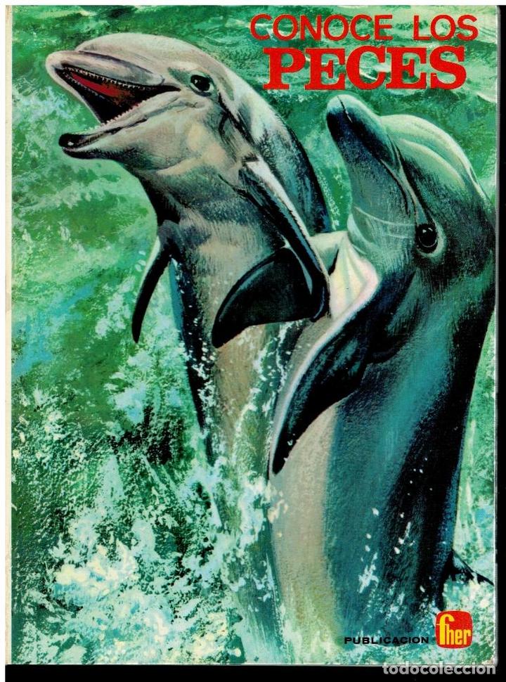 Libros: CONOCE LOS PECES. - Foto 1