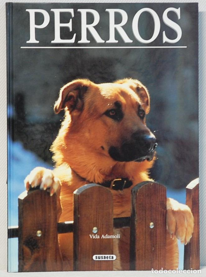 Libros: PERROS.-VIDA ADAMOLI.-EDICIONES SUSAETA.1991.COLECCION:MIS AMIGOS LOS ANIMALES