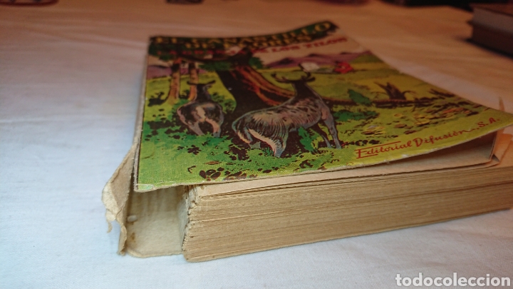 Libros: El Canastillo de Flores y La Granja de los Tilos, Cristobal Schmid, Editorial Difusi&oacute;n - Foto 3