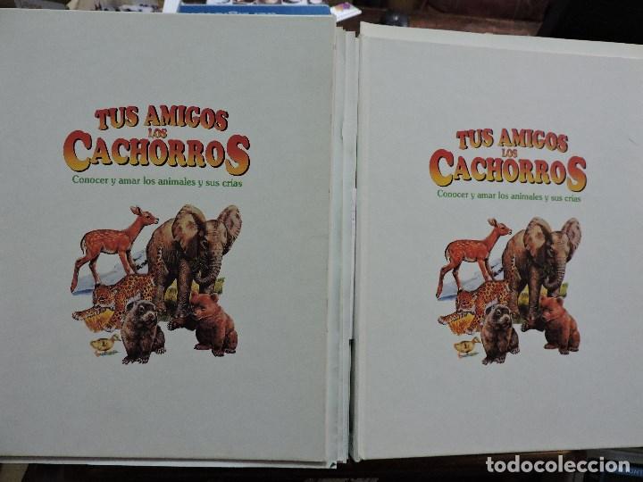 Livres: Tus amigos los cachorros. Conocer y amar los animales y sus cr&iacute;as. Cuadernillos del 20 al 50 (no 29)