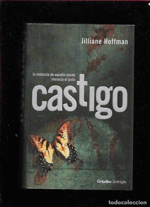Libros: CASTIGO - HOFFMAN, JILLIANE - Foto 2
