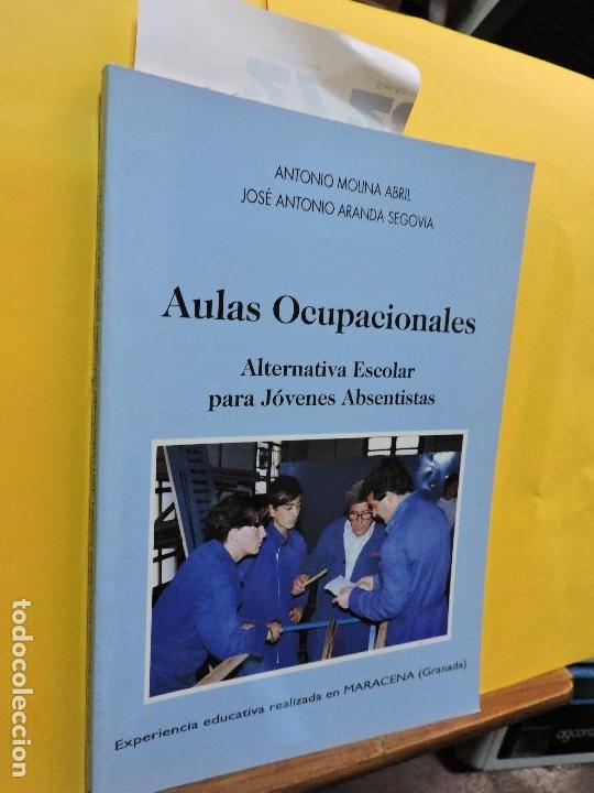 B&uuml;cher: Aulas Ocupacionales. Alternativa escolar para j&oacute;venes absentistas. Experiencia educativa realizada e