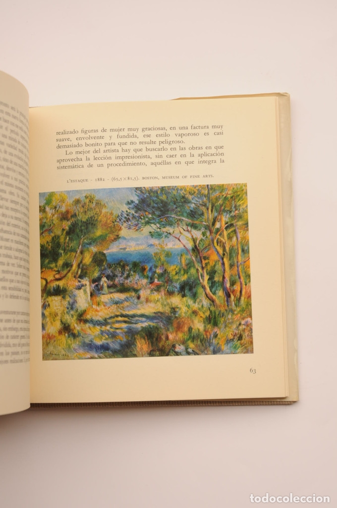 Libros: Renoir - ROUART, Denis - Foto 5