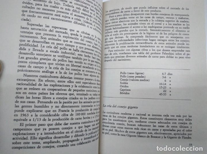 Libros: Cr&iacute;a moderna de los conejos. Manual pr&aacute;ctico. Mario Vaccaro. Ed Vecchi, 1974 - Foto 2