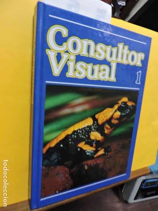 Libros: Consultor Visual 1. Ed. Cultural. Barcelona 1986 - Foto 1