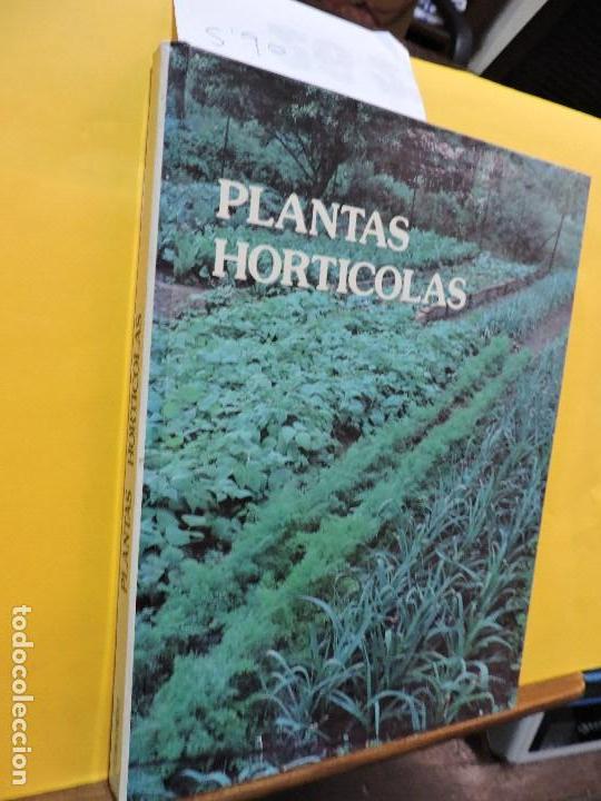 Libros: Plantas hort&iacute;colas. Ed. Floraprint. Valencia 1976 - Foto 1