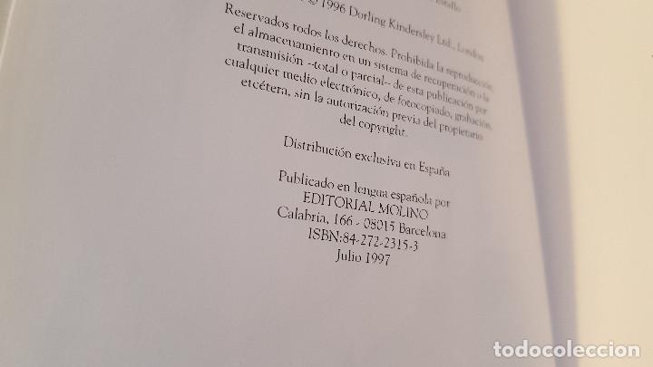 Libros: LIBRO LA CIENCIA (1997) MINI GUIA - ED. MOLINO - Foto 3