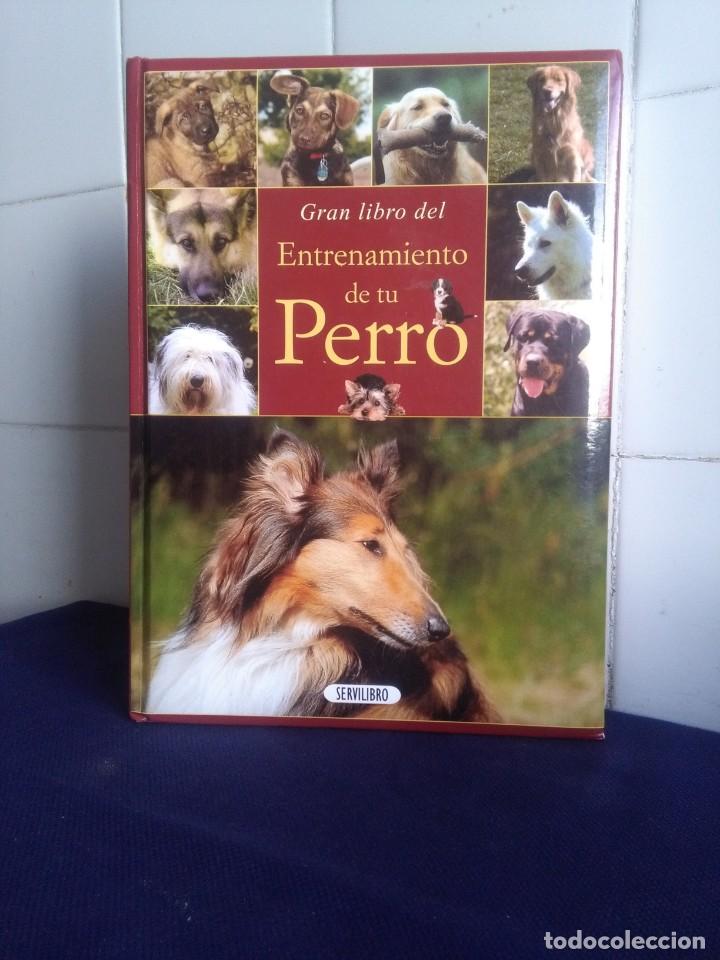 Libros: GRAN LIBRO DEL ENTRENAMIENTO DE TU PERRO &ndash; SERVILIBRO - Foto 1