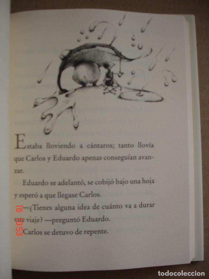Libros: SIN PRINCIPIO NI FIN - AVI - EDICIONES B, 2009 - PRIMERA EDICI&Oacute;N - COMO NUEVO - Foto 4