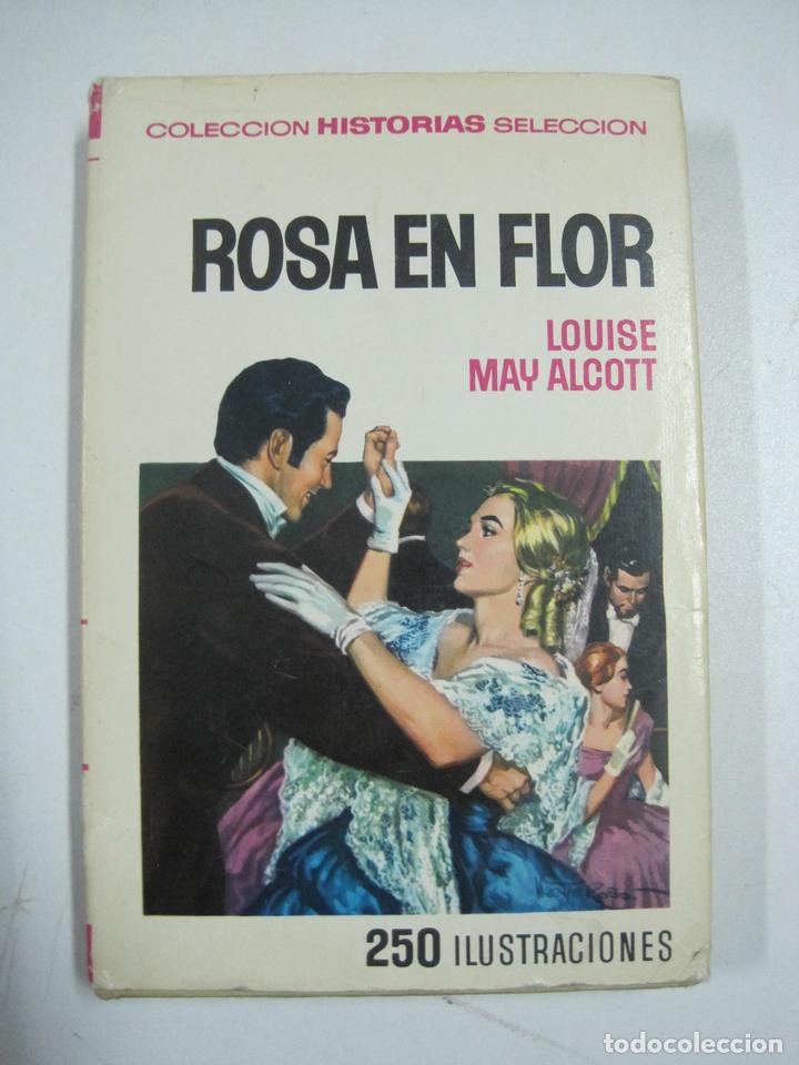 Libros: Rosa en flor / Louise May Alcott - Foto 1