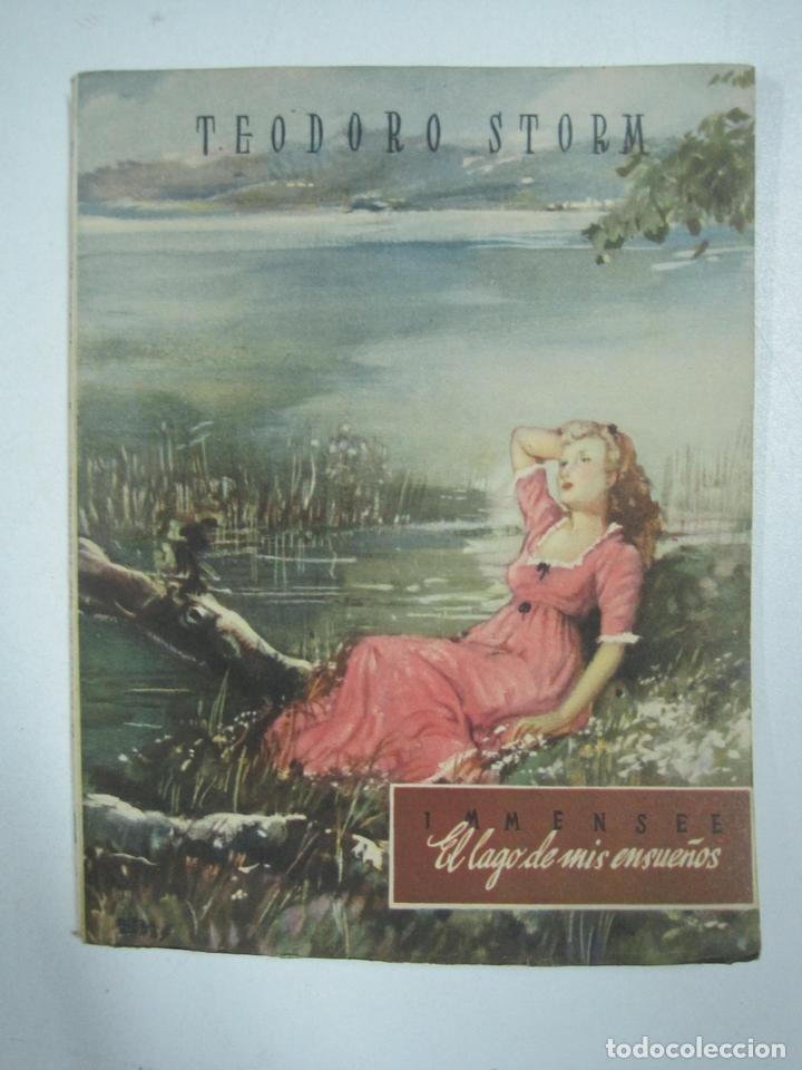 Libros: El lago de mis ensue&ntilde;os (Immesee) / Teodoro Strorm - Foto 1