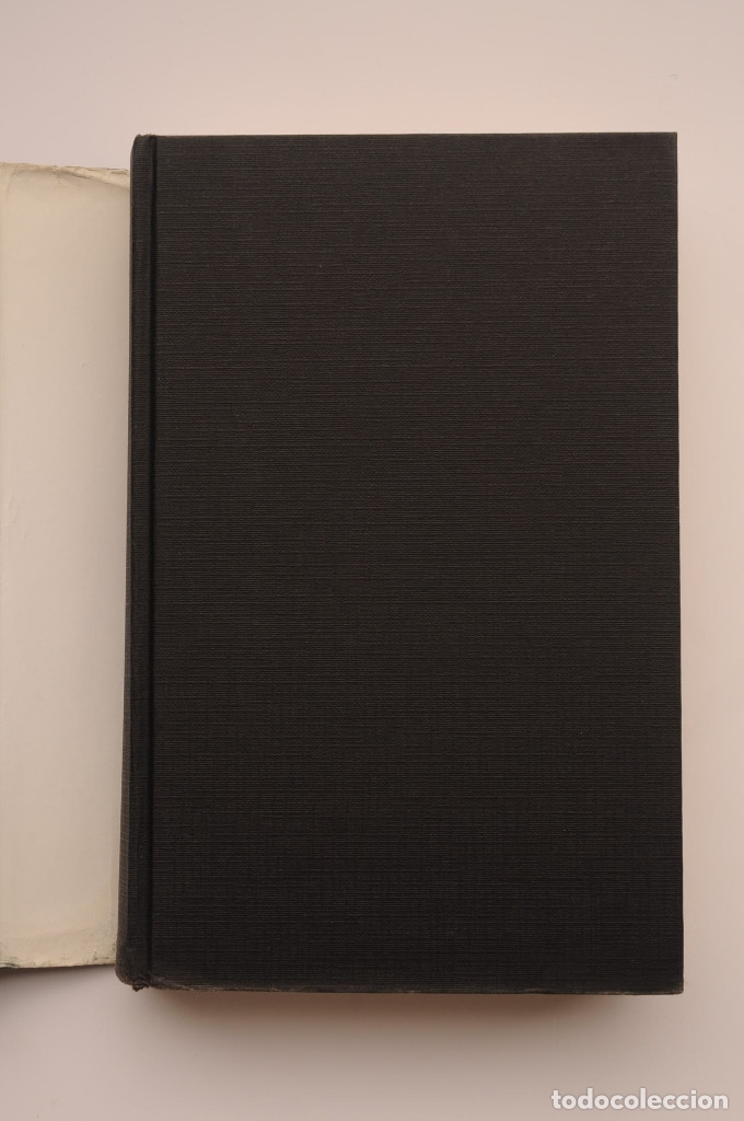 Libros: El moz&aacute;rabe - S&Aacute;NCHEZ ADALID, Jes&uacute;s - Foto 2