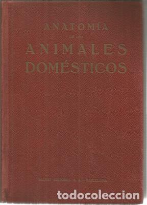Libros: Anatomia de los animales domesticos - SISSON, SEPTIMUS - Foto 1