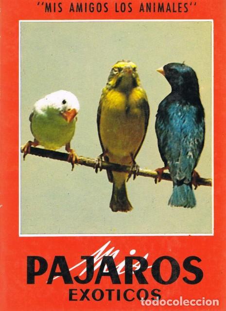 Libros: Mis p&aacute;jaros ex&oacute;ticos - PAUL, ANDR&Eacute; (Versi&oacute;n de la obra de) - Foto 1