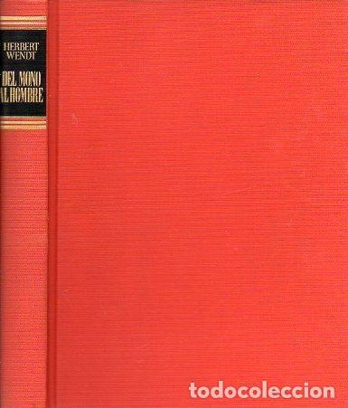 Libros: Del Mono al Hombre - Wendt, Herbert - Foto 1