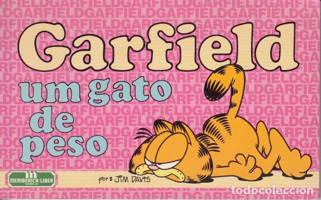 Libros: GARFIELD: UM GATO DE PESO - DAVIS, JIM - Foto 1