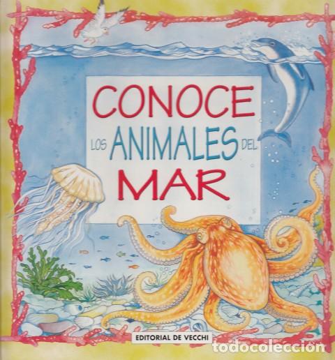 Libros: CONOCE LOS ANIMALES DEL MAR - MELDI, DIEGO; BARTOLI, SONIA (TEXTOS) - Foto 1
