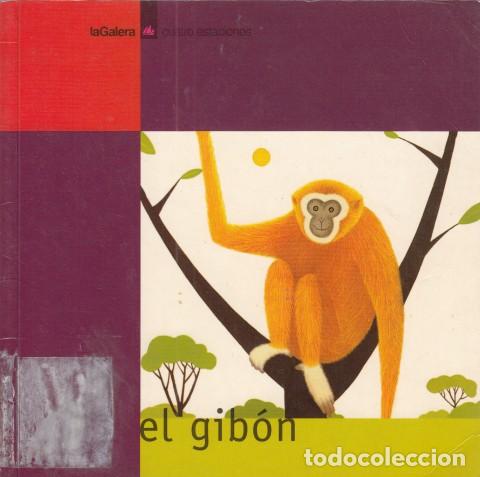 Libros: EL GIB&Oacute;N - DUR&Aacute;N, TERESA (ADAPTACI&Oacute;N) - Foto 1