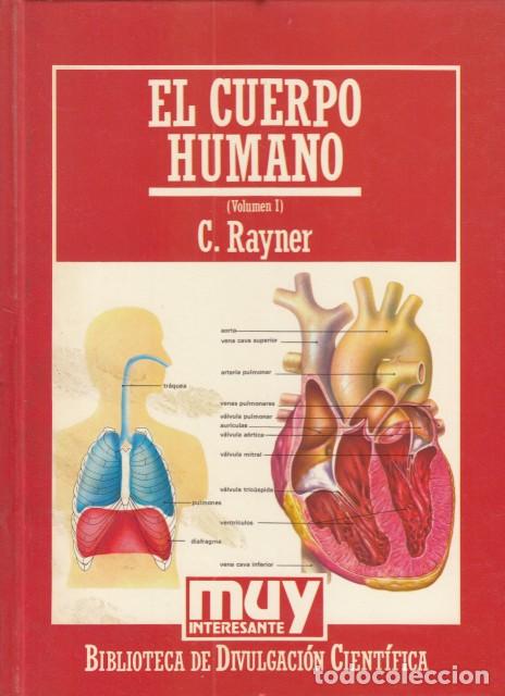 Libros: EL CUERPO HUMANO.  VOLUMEN I. - RAYNER, C. - Foto 1