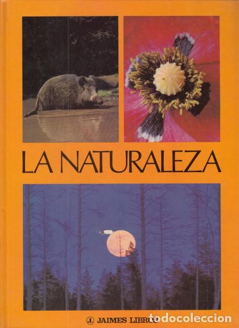 Libros: LA NATURALEZA - WYSS, MAX A. - Foto 1