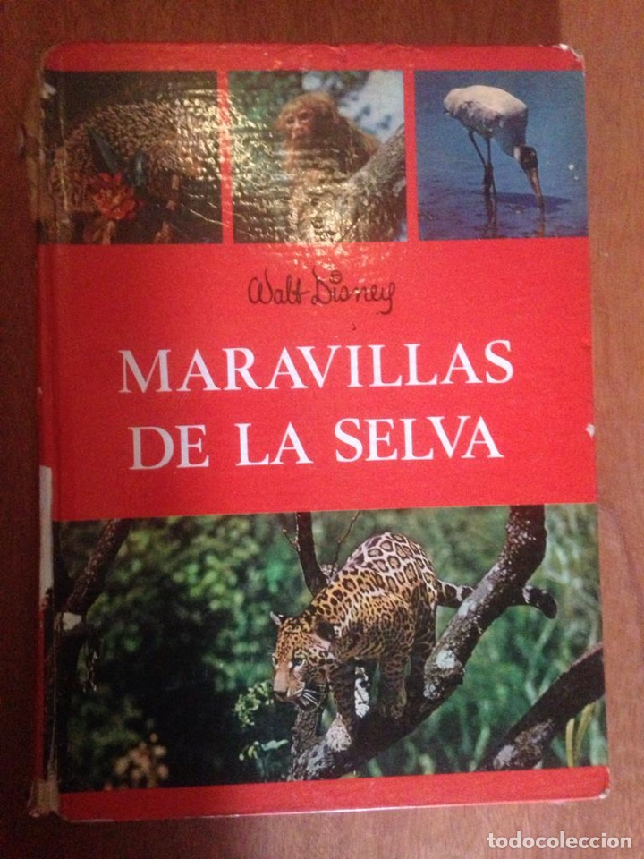 Libros: MARAVILLAS DE LA SELVA - Foto 1