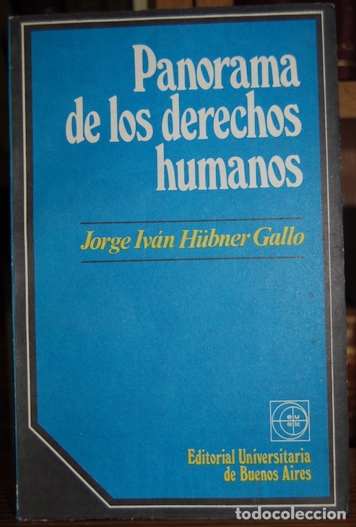 Libros: PANORAMA DE LOS DERECHOS HUMANOS - H&Uuml;BNER GALLO, Jorge Iv&aacute;n - Foto 1