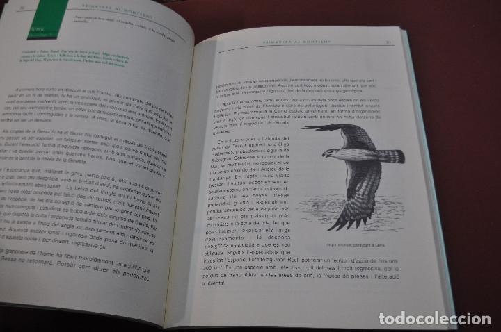 Libros: Primavera al Montseny - Mart&iacute; Boada - dibuixos Carles Puche - FFB - Foto 2