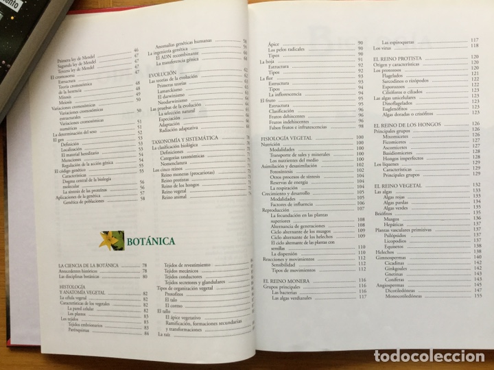 Libros: CRISOL BIOLOG&Iacute;A BOT&Aacute;NICA CARROGGIO - Foto 6