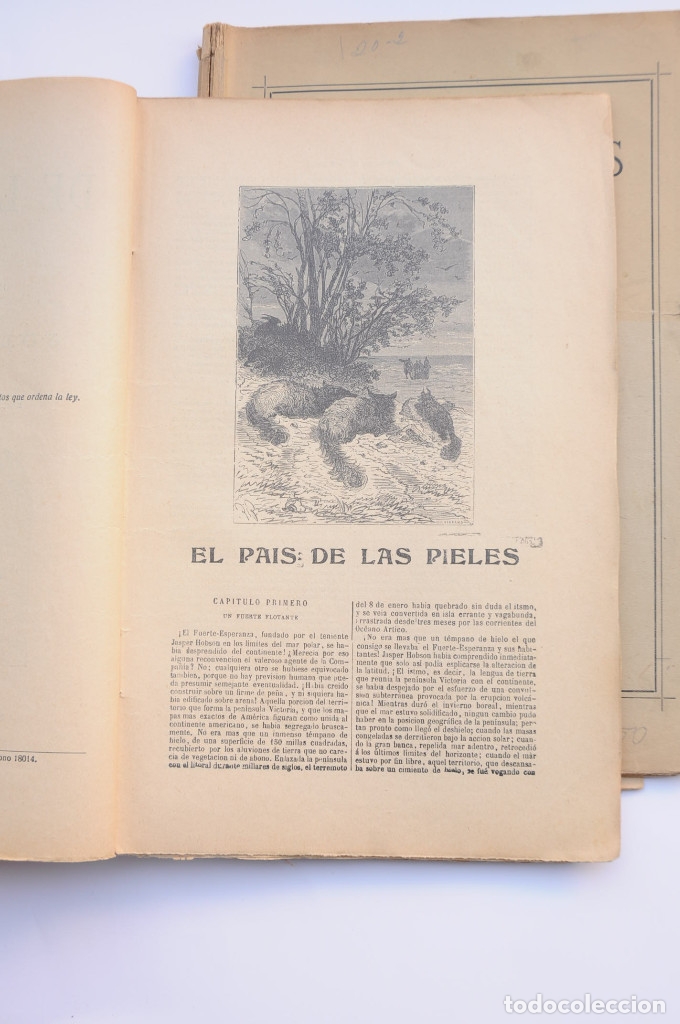 Libros: El pa&iacute;s de las pieles - VERNE, Jules - Foto 7