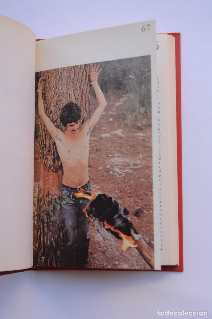 Libros: Los otros fuegos - GALIANA, Ismael - Foto 5