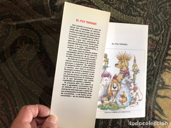Libros: El fox terrier. Evelyn Miller - Foto 2