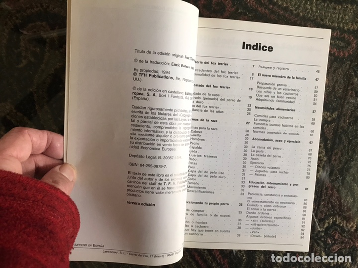 Libros: El fox terrier. Evelyn Miller - Foto 3