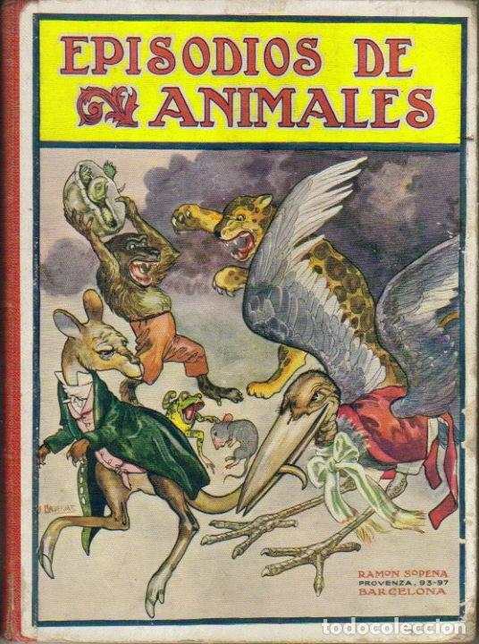 Libros: Episodios de animales - VV. AA. Infantil. - Foto 1