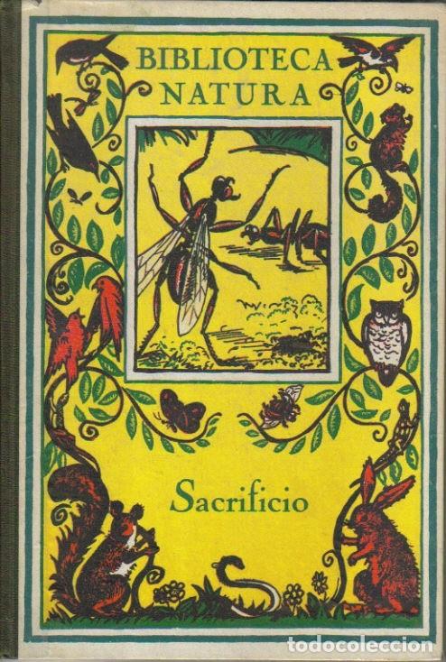 Libros: Sacrificio - Manuel Marinel-lo. Infantil. - Foto 1