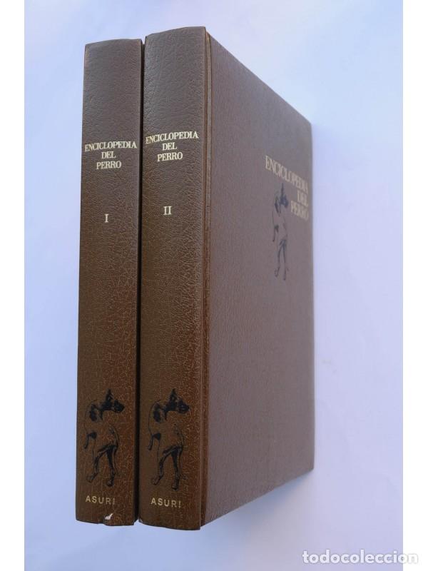 Libros: Enciclopedia del perro - AUTORES VARIOS - Foto 1