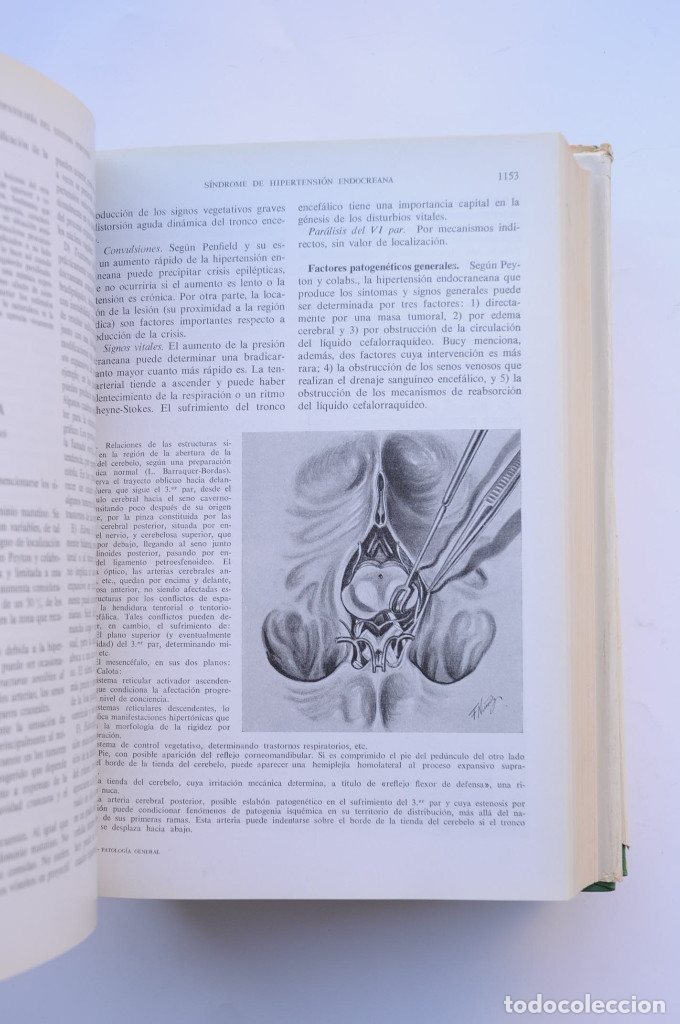 Libros: Patolog&iacute;a General - AUTORES VARIOS - Foto 11