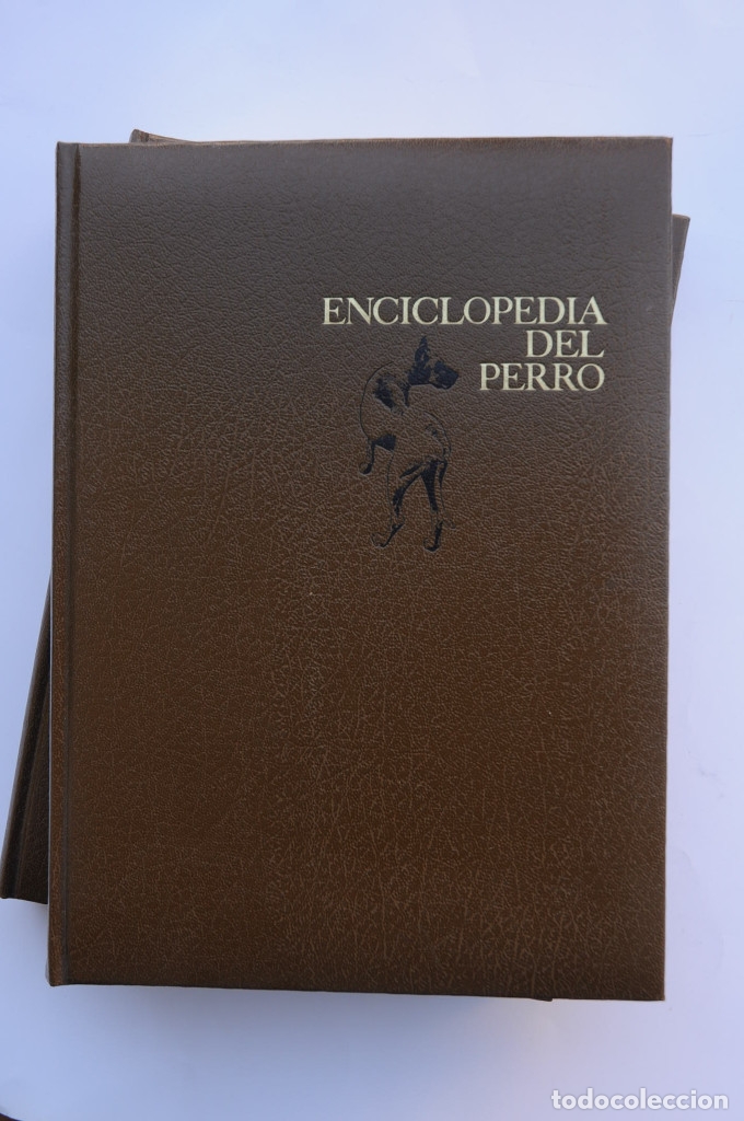 Libros: Enciclopedia del perro - AUTORES VARIOS - Foto 2