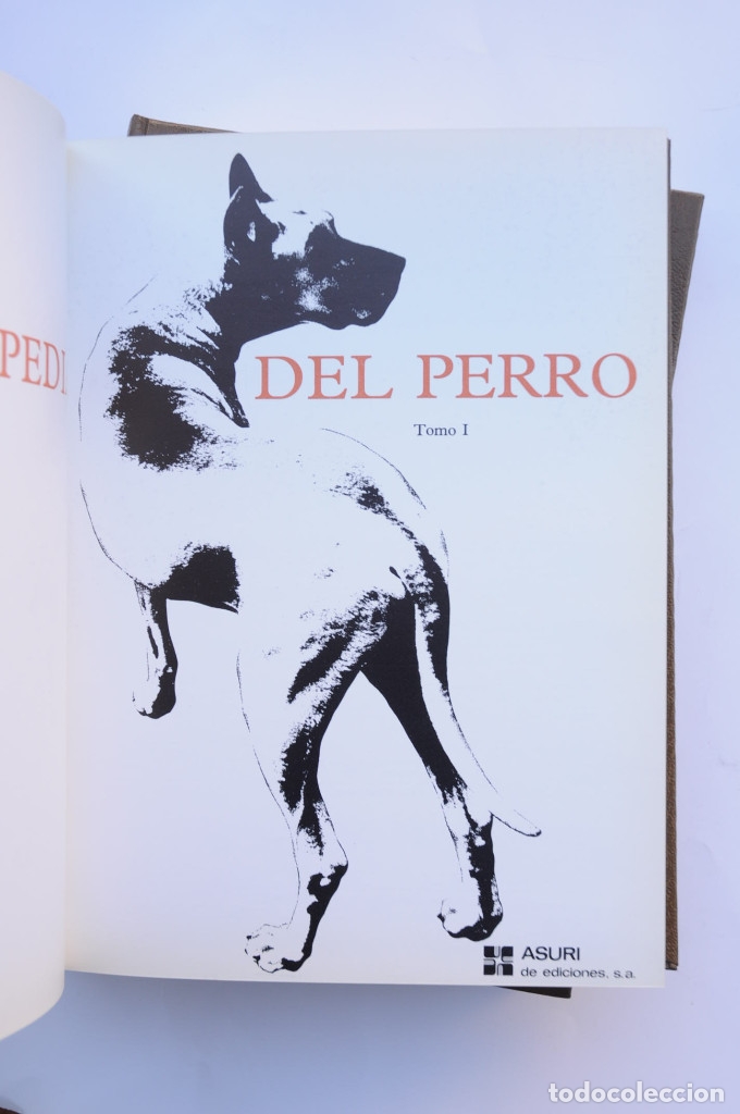 Libros: Enciclopedia del perro - AUTORES VARIOS - Foto 3