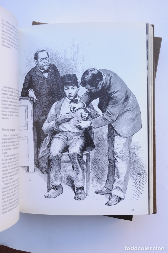 Libros: Enciclopedia del perro - AUTORES VARIOS - Foto 4