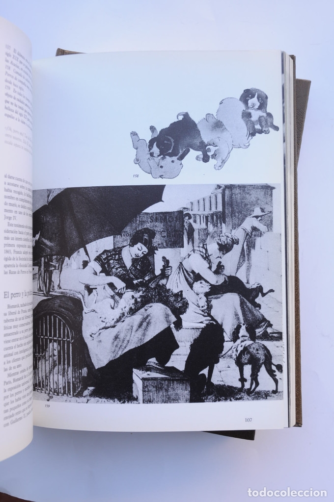 Libros: Enciclopedia del perro - AUTORES VARIOS - Foto 5
