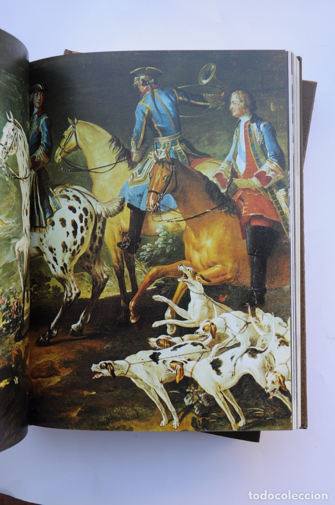 Libros: Enciclopedia del perro - AUTORES VARIOS - Foto 6