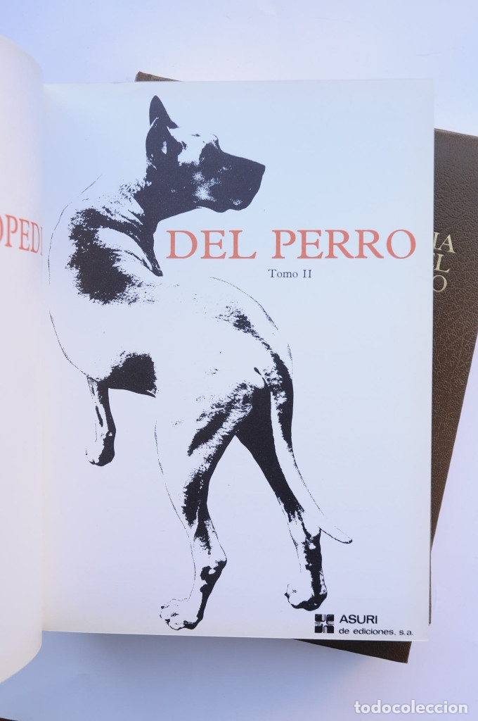 Libros: Enciclopedia del perro - AUTORES VARIOS - Foto 10