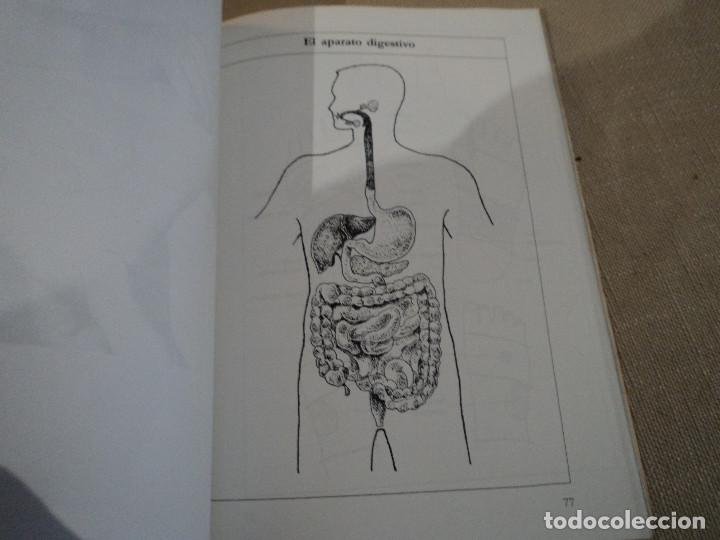 Libros: CURSO B&Aacute;SICO DE REFLEXOLOG&Iacute;A DEL PIE Y DE LA MANO. 140 pag. - Foto 4
