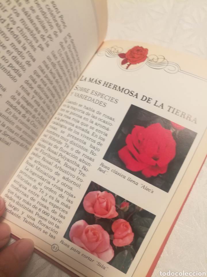 Libros: EL FASCINANTE ENCANTO DE LAS ROSAS - Foto 3